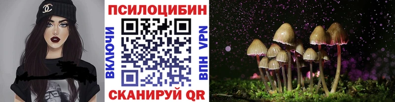 Галлюциногенные грибы мицелий  Старый Оскол 